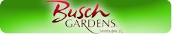 busch gardens tampa, Kinetix returns to Busch Gardens Tampa
