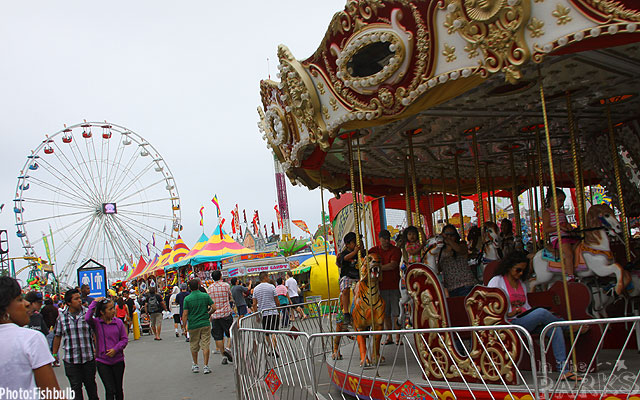 del mar fair, Fried Cereal and Turkey Races at the Del Mar Fair