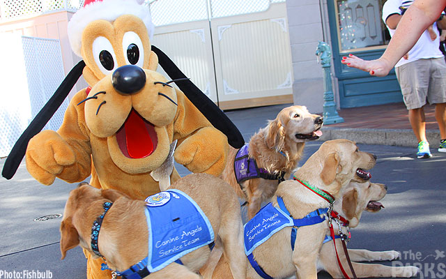 disneyland, Canine Angels Wag Hearts at Disneyland