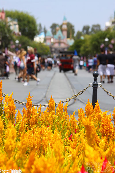Disneyland Matterhorn, Disneyland Matterhorn, Carnation Cafe and Voices of Liberty News