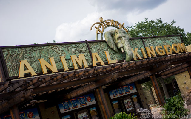 Animal Kingdom, Animal Kingdom News and Photos